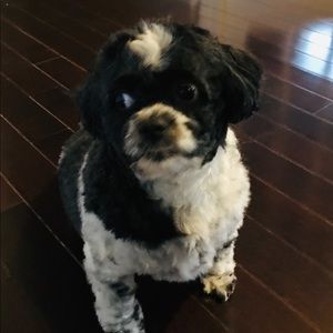 Meet your Posher, Sheila